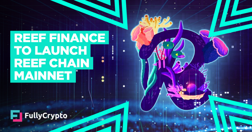 May Launch Set for Reef Finance’s Reef Chain Mainnet