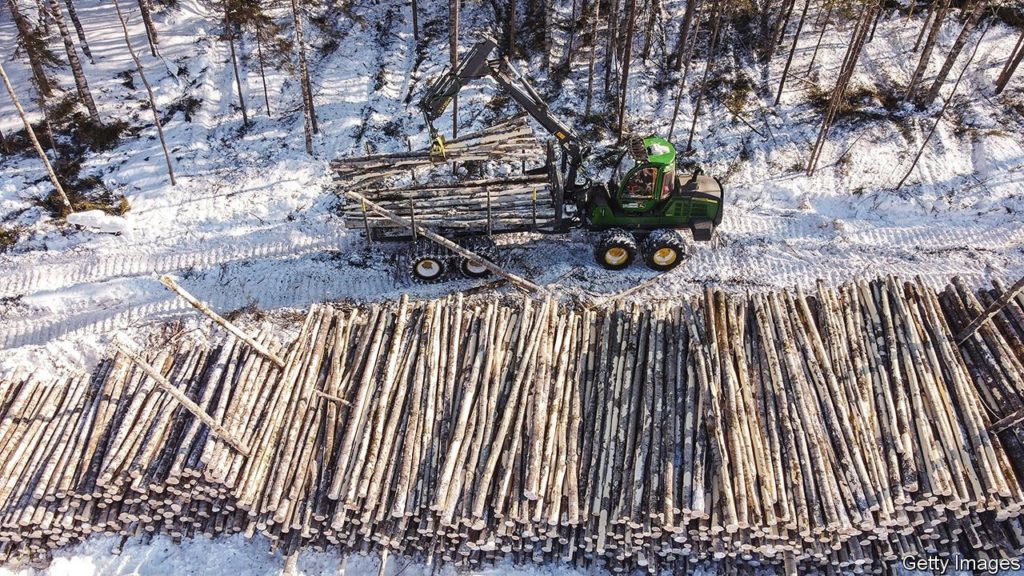 The wood-products industry is undergoing root-and-branch change