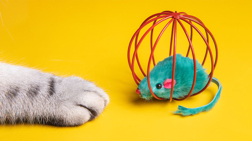 4 Steps to Boost Psychological Safety at Your Workplace