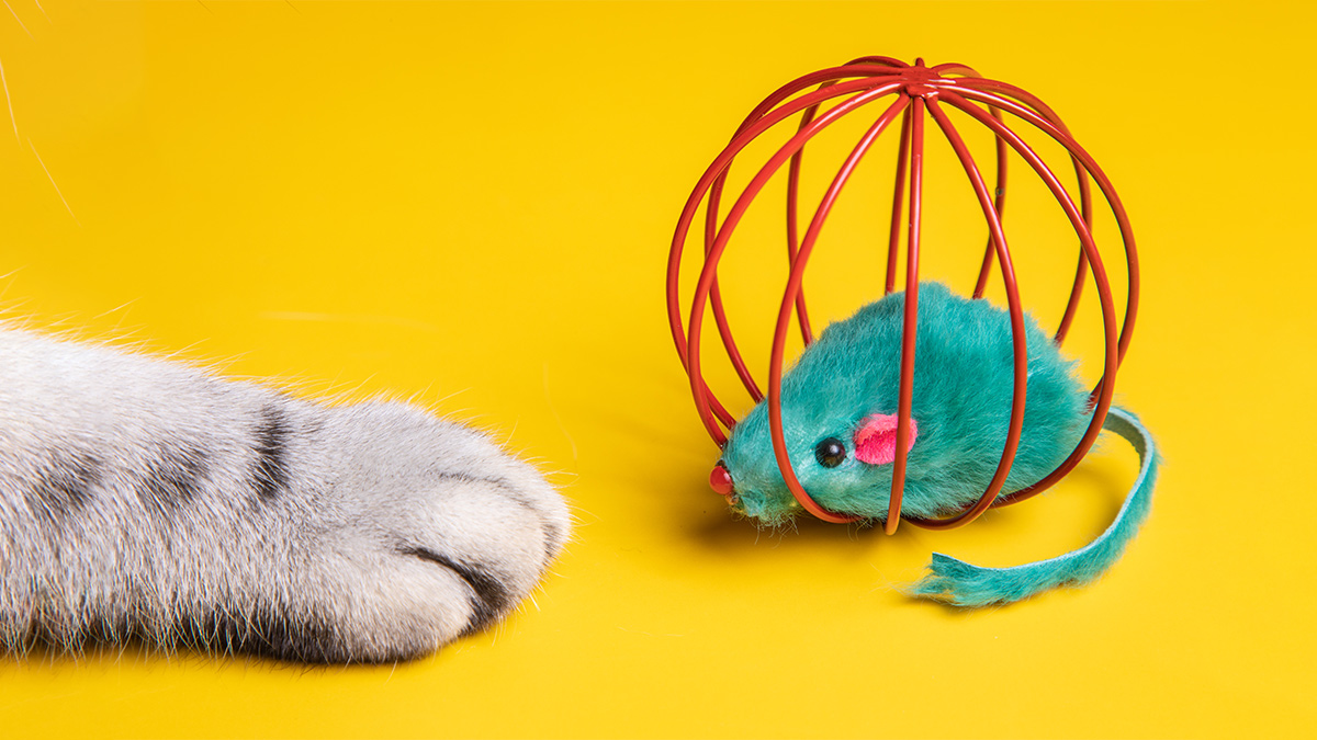 4 Steps to Boost Psychological Safety at Your Workplace