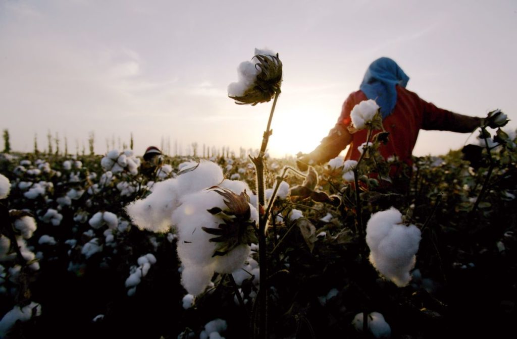 Fashion Brands Investigated Over Alleged Uyghur Forced Labor