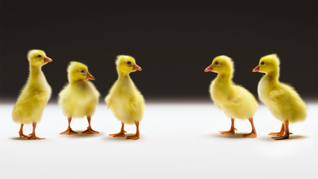 When Trusting Your Family Hurts Your Family Business