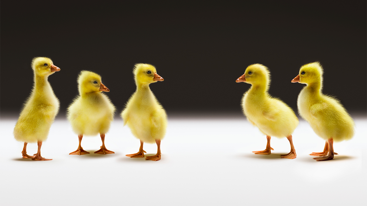 When Trusting Your Family Hurts Your Family Business