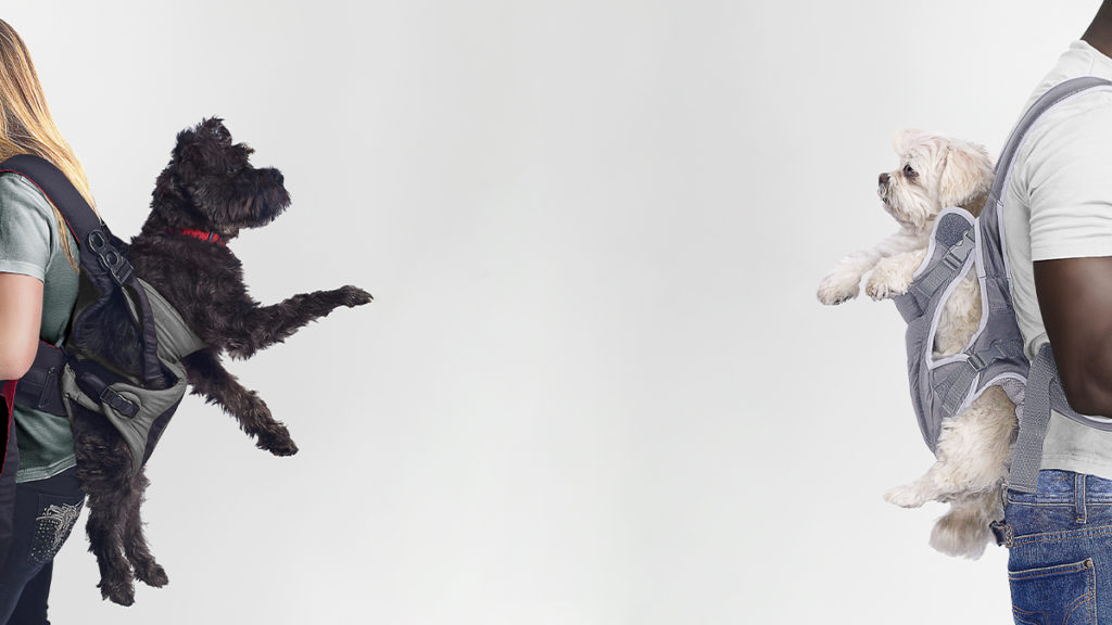 When Do We Actually Need to Meet in Person?