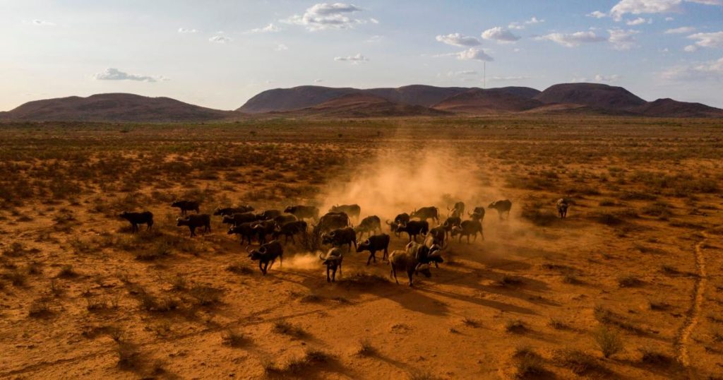 IPCC scientists still haven’t cracked Africa’s biggest climate mystery