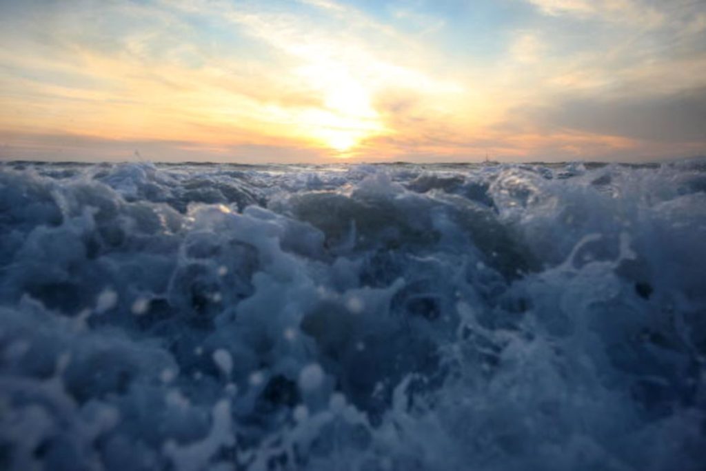 To Save Earth’s Climate, Map the Oceans
