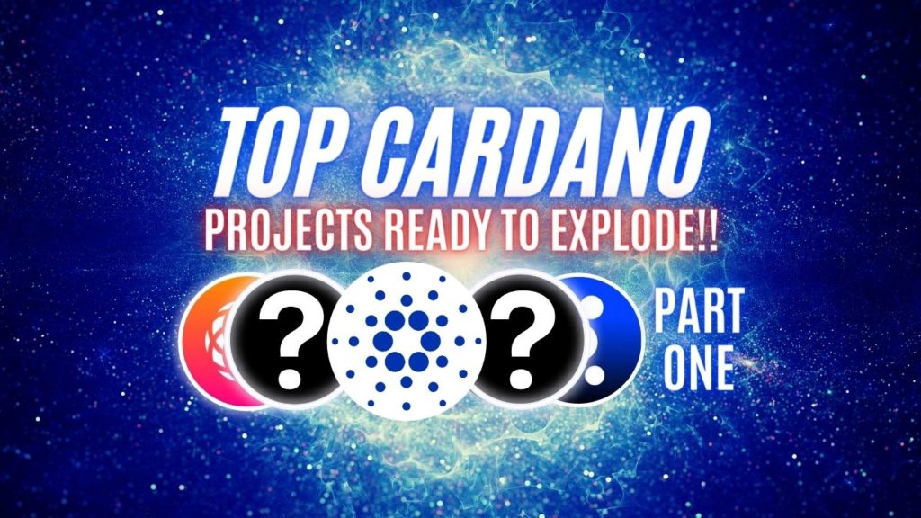 Top 5 Cardano Projects After Alonzo’s Update (Part 1)