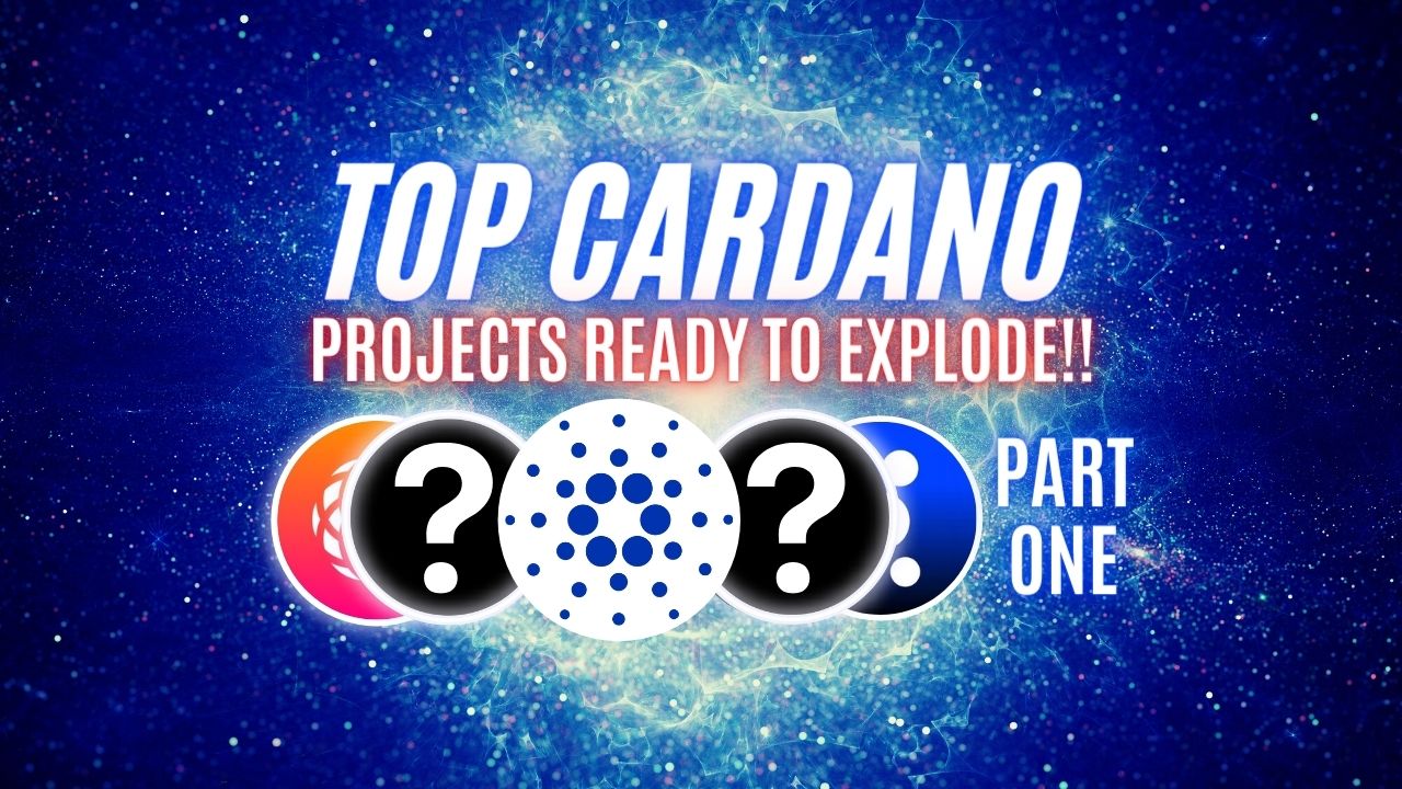 Top 5 Cardano Projects After Alonzo’s Update (Part 1)