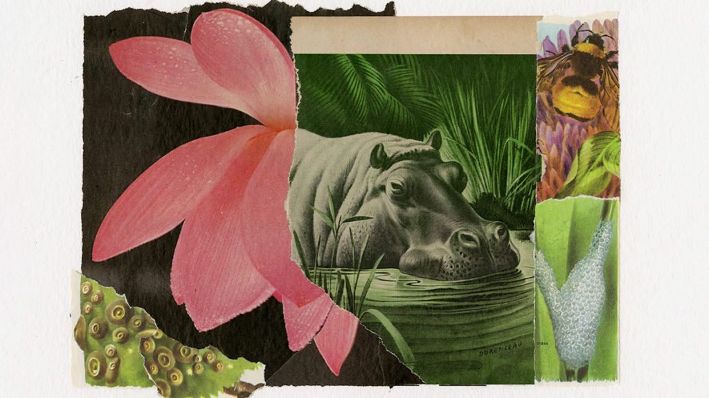 Bring the Outdoors into Your Hybrid Work Routine