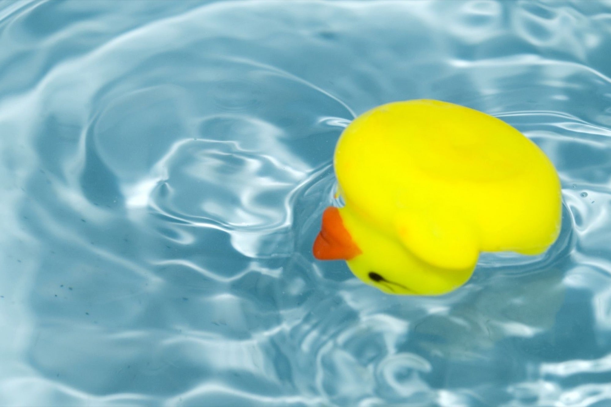 Face failure and learn from your successes in 7 steps