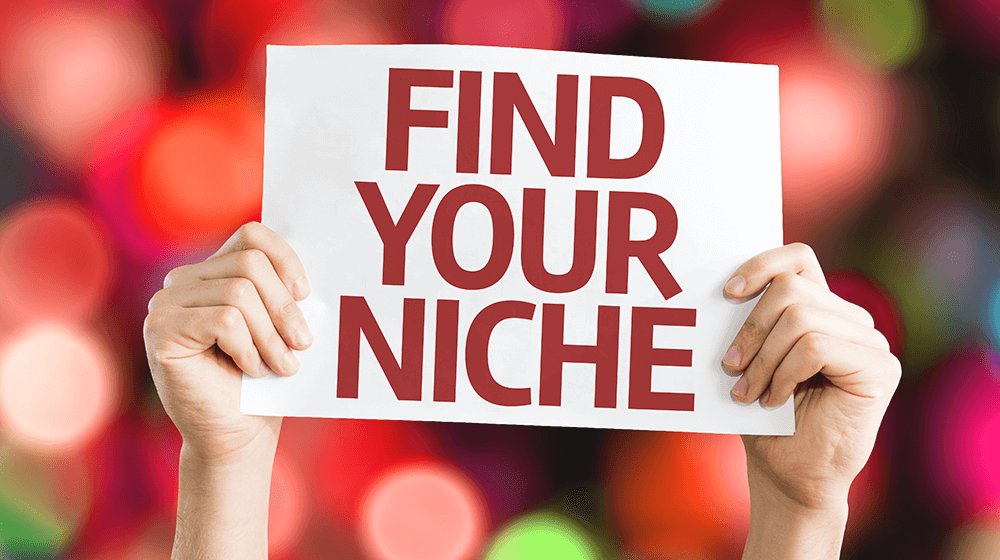 What is a Niche Market?
