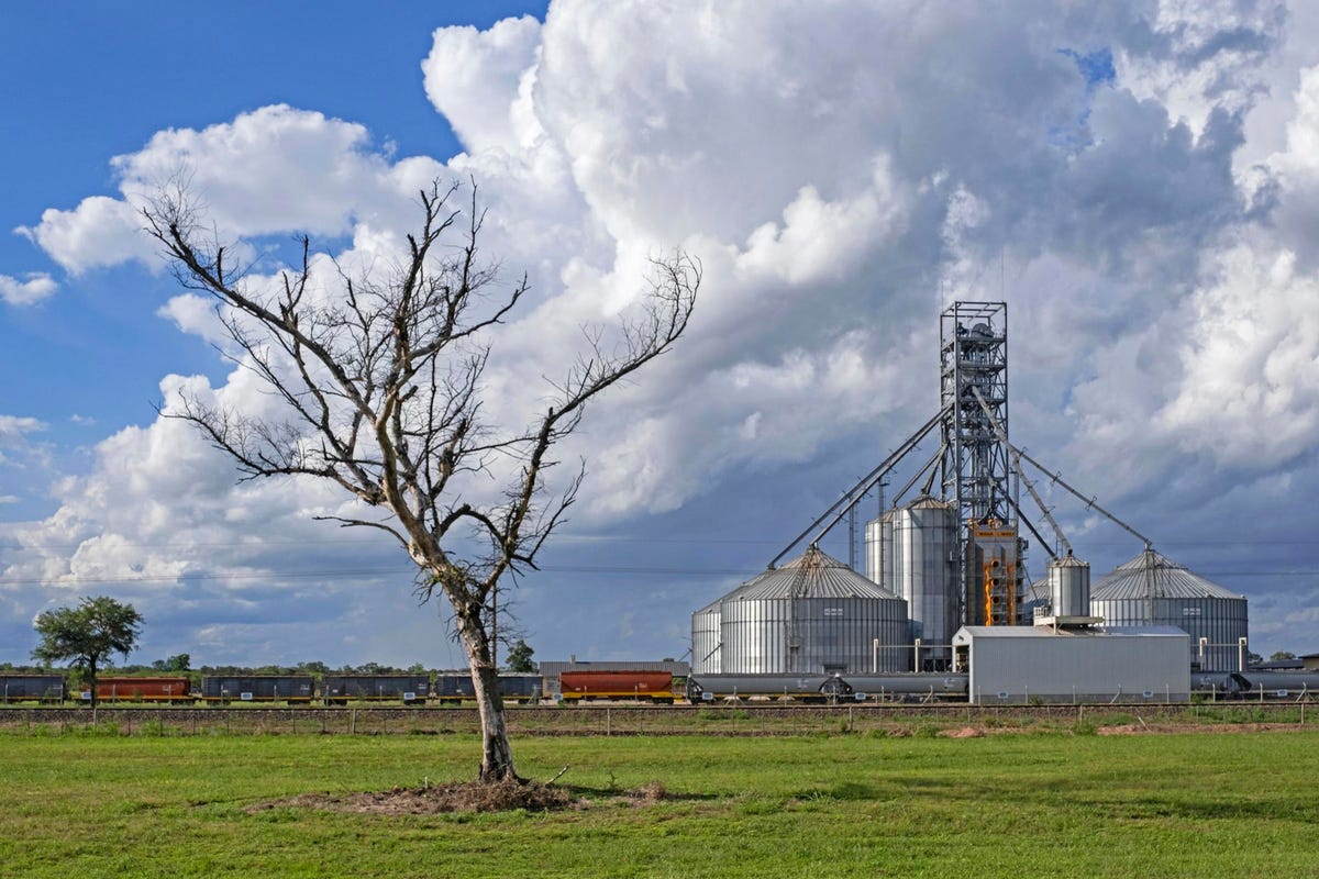 Agriculture In Transition
