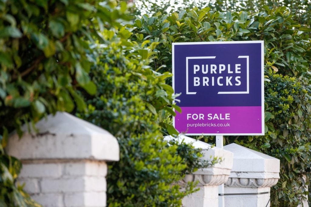 Purplebricks (PURP:LN) Sinks Again on Rentals Business Issue