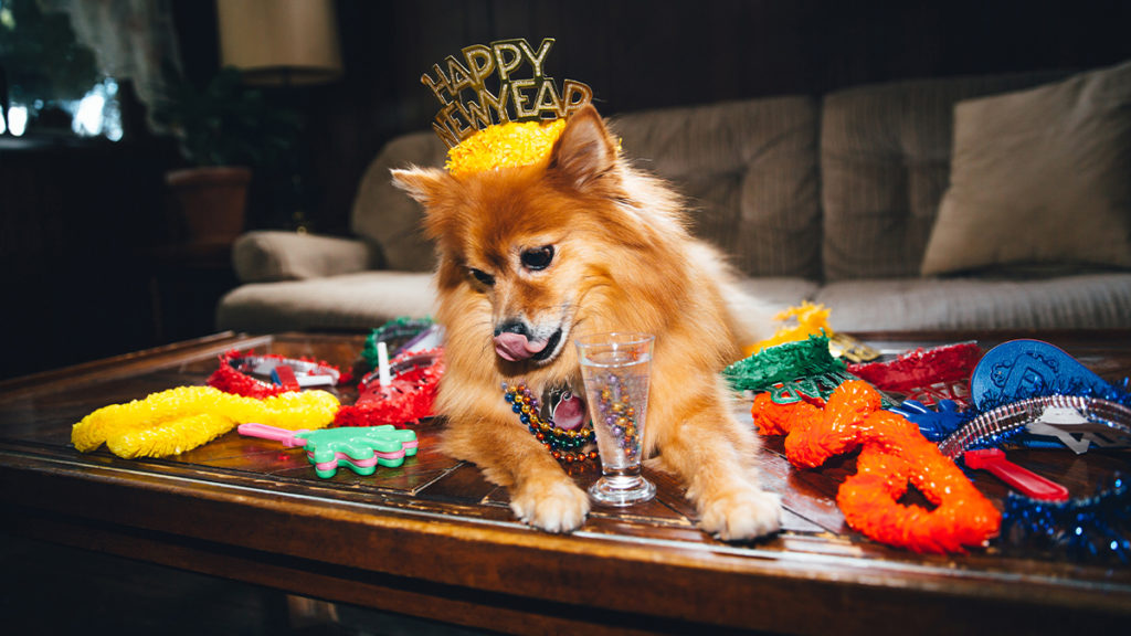 Should You Even Bother with New Year’s Resolutions This Year?