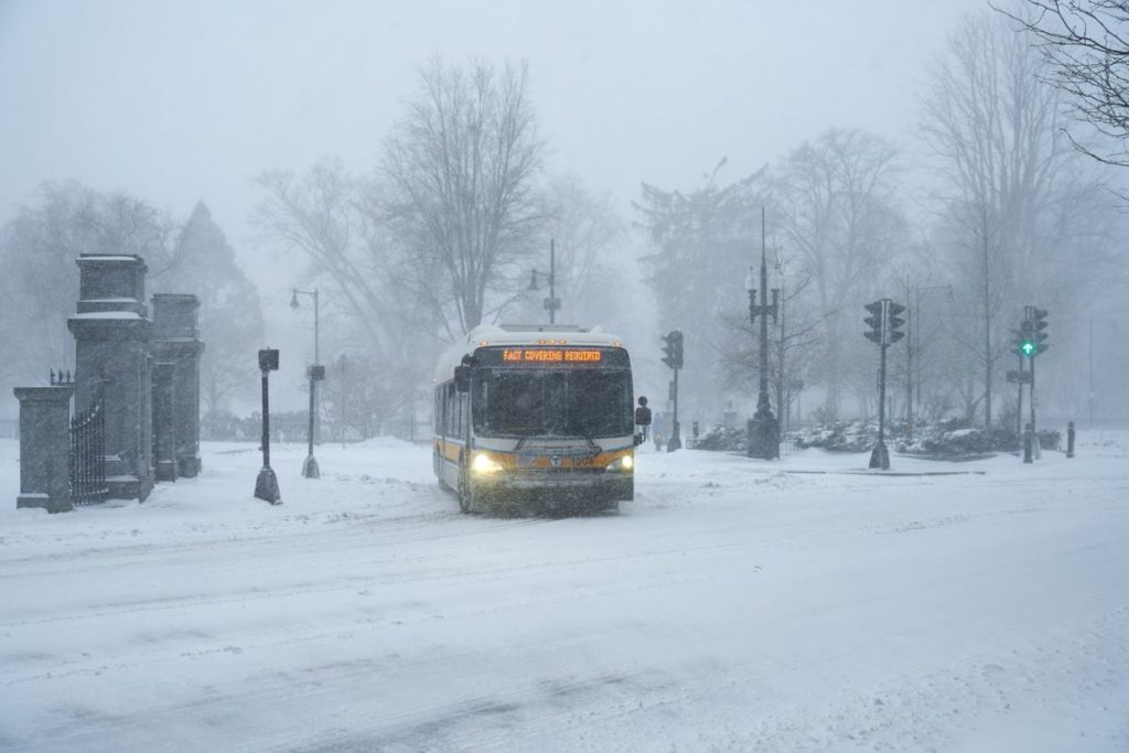 Social Media Buzz: Snowstorm, Joni Mitchell, Book Ban