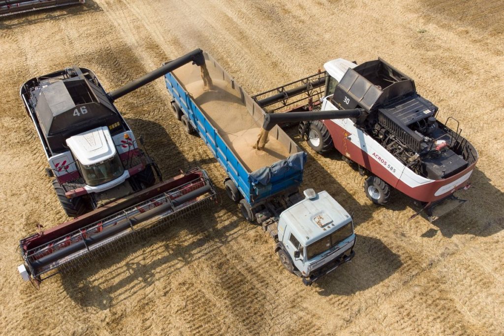 U.S. Cuts Estimates for Ukraine Wheat, Corn Exports on War