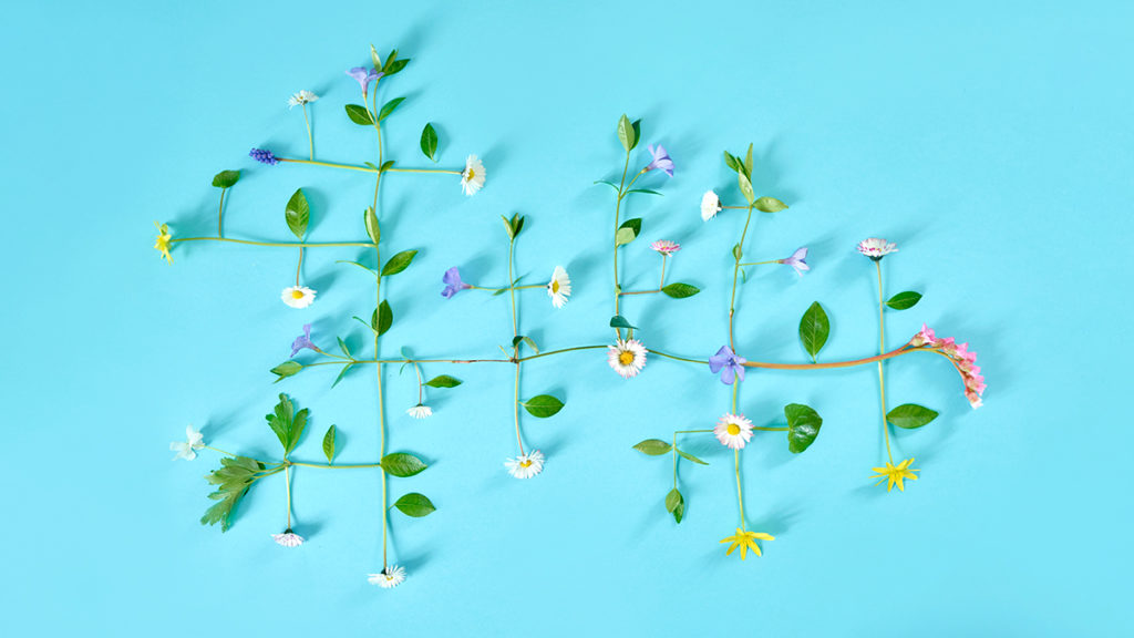 How to Choose the Right Ecosystem Partners for Your Business