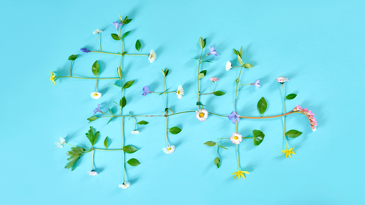 How to Choose the Right Ecosystem Partners for Your Business