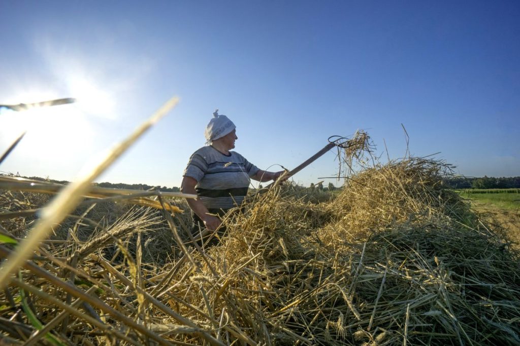 Half of Harvests in Crop Giant Ukraine Could Be Wiped Out by War