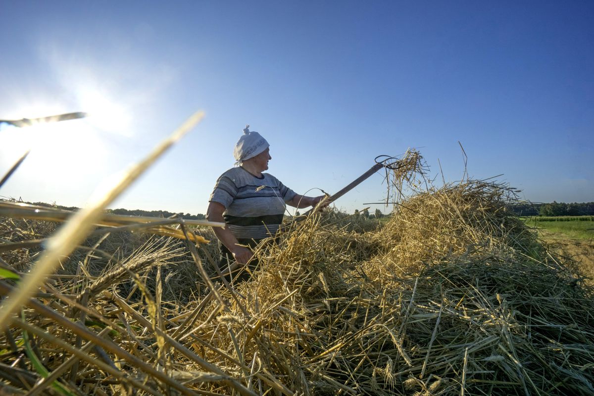 Half of Harvests in Crop Giant Ukraine Could Be Wiped Out by War