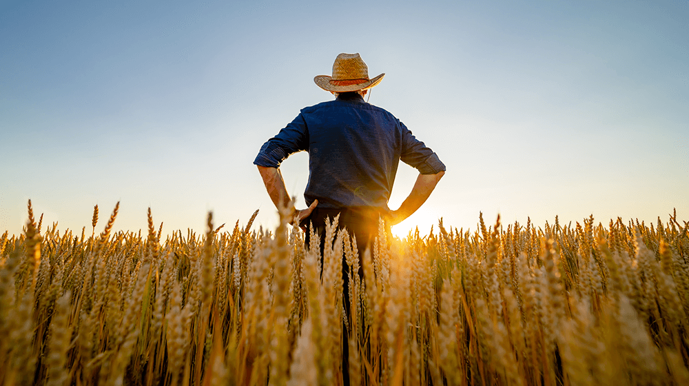 New Proposed SEC Rule Would Hurt Small Farms in US