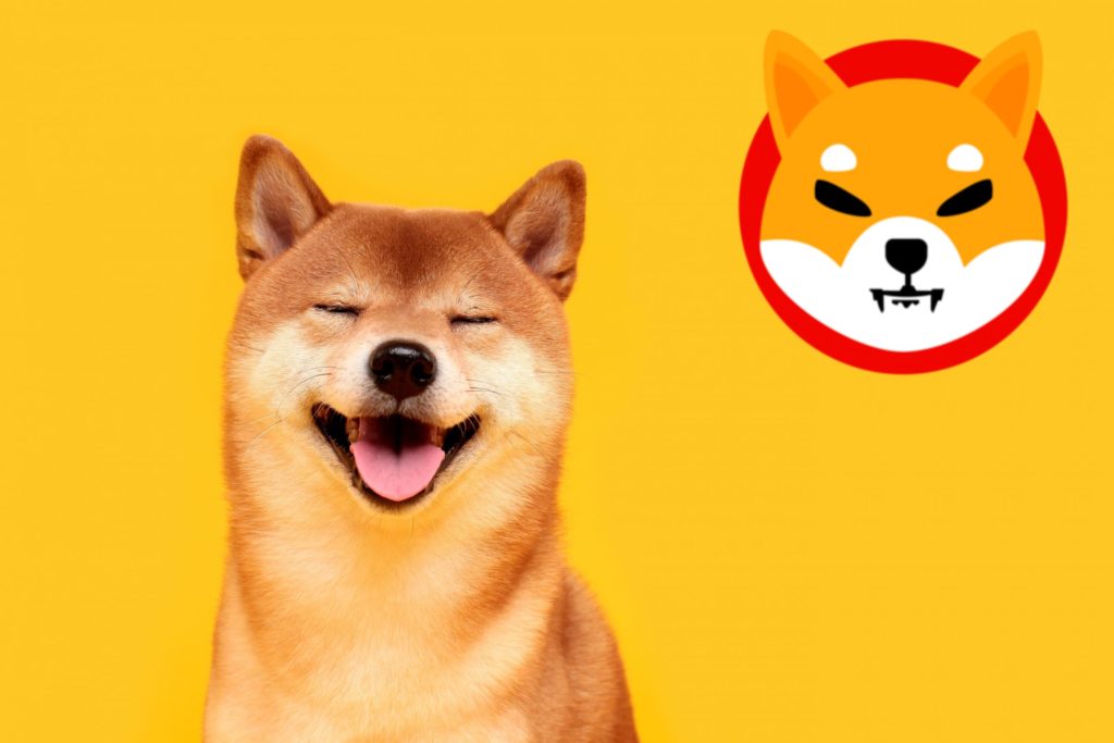 Shiba Inu community sees hope through Shytoshi’s Tweet