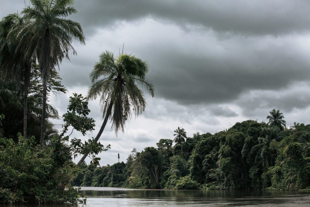 Blinken Says Congo Needs Funding to Protect Forests, Peatlands