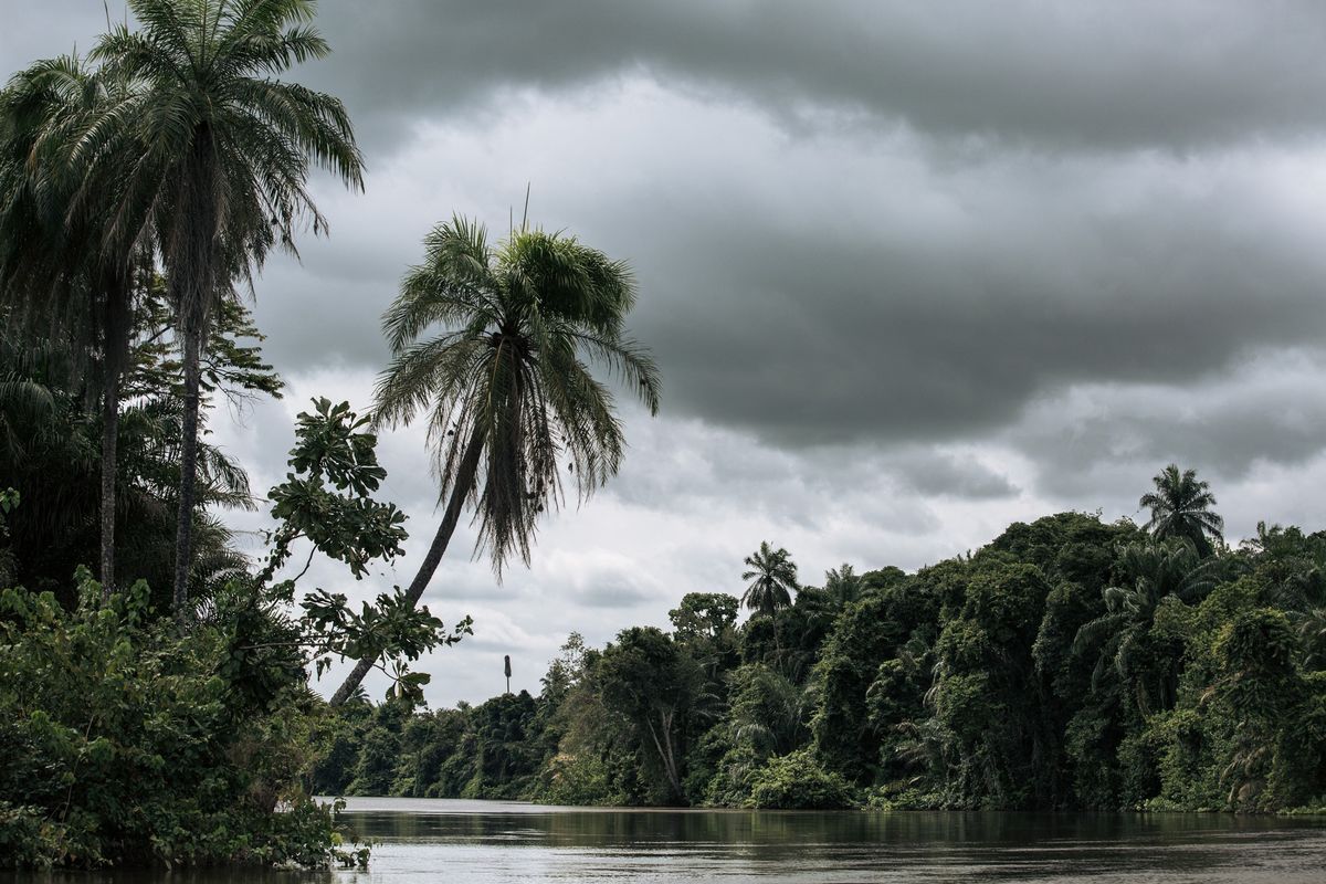 Blinken Says Congo Needs Funding to Protect Forests, Peatlands