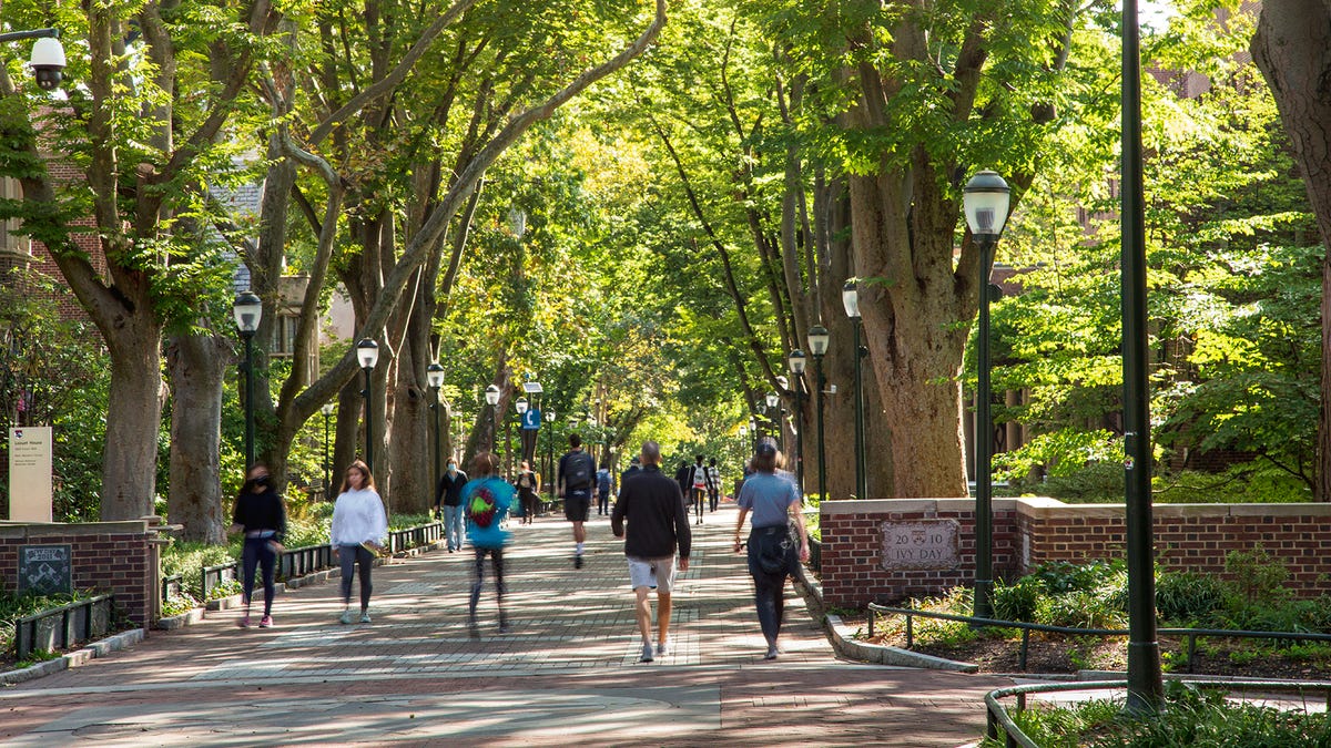 Billionaire Alma Maters: The 11 Most Popular Colleges Among America’s Richest