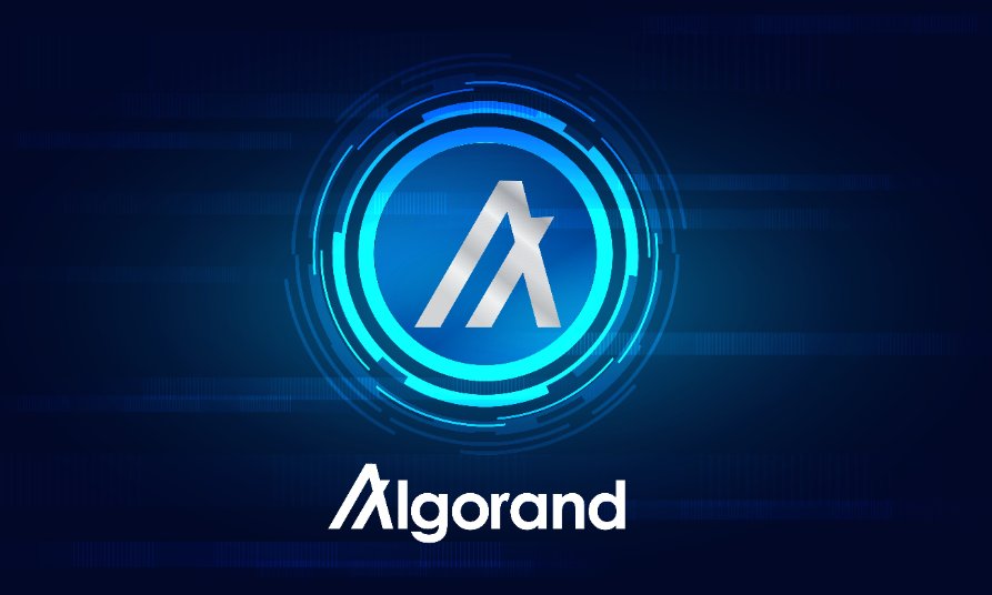 Algorand price fails to take off amid World Cup exploits. What next?