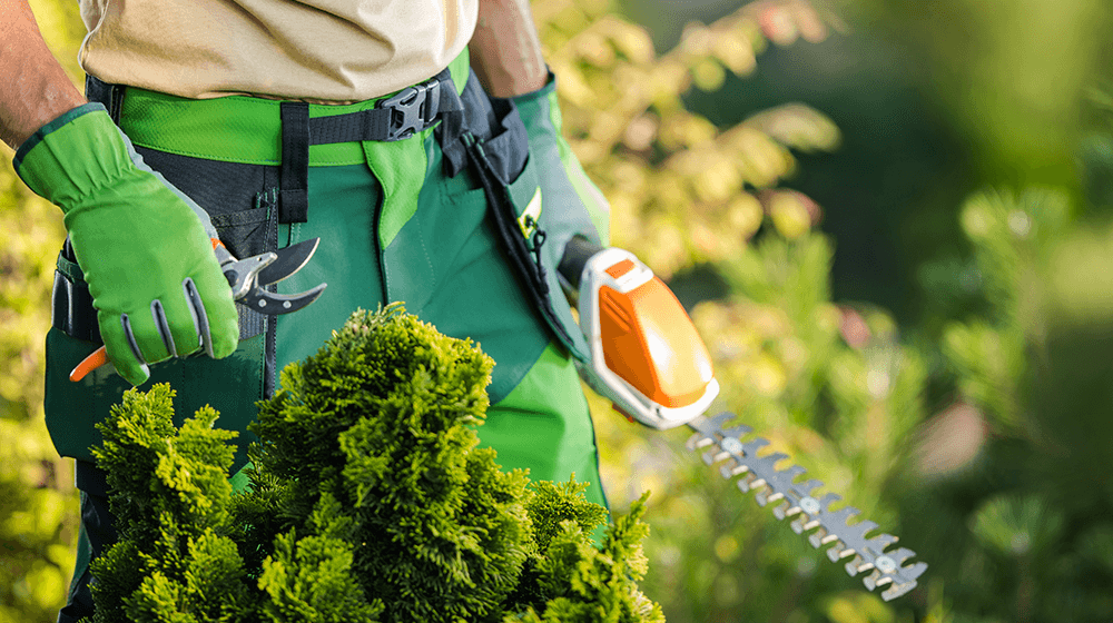 Landscaping Tools – Your List for Starting a Business