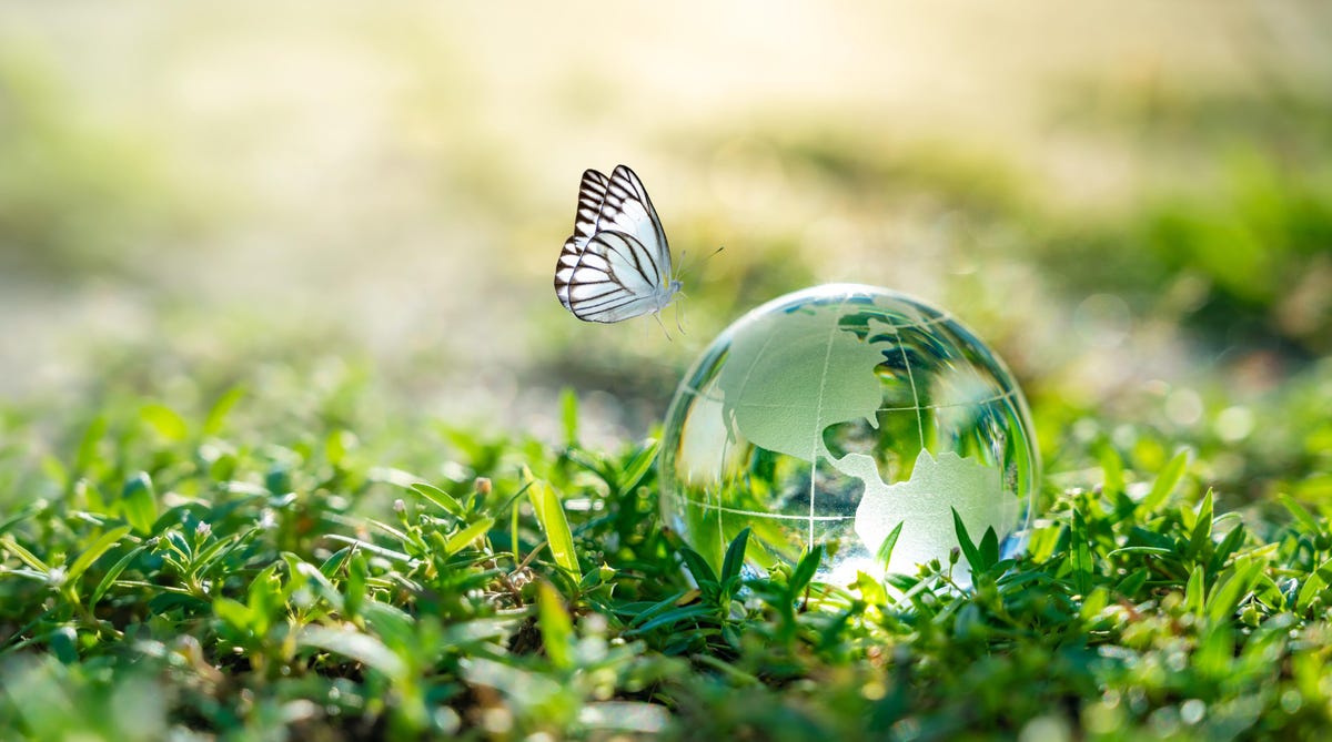 Five Things I’ve Learned As A CTO Of A Clean Tech Company