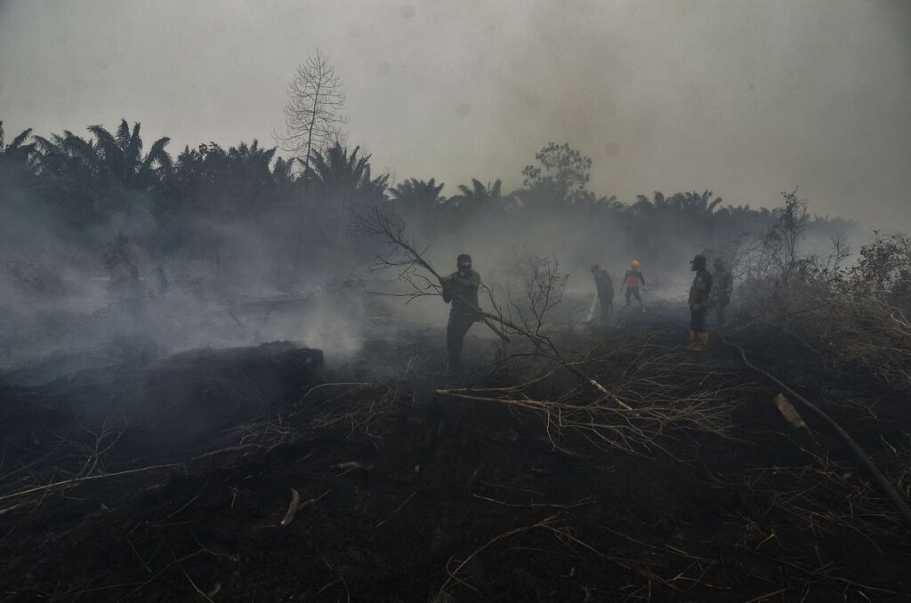 Jokowi Threatens to Fire Police if Haze Engulfs Indonesia Again