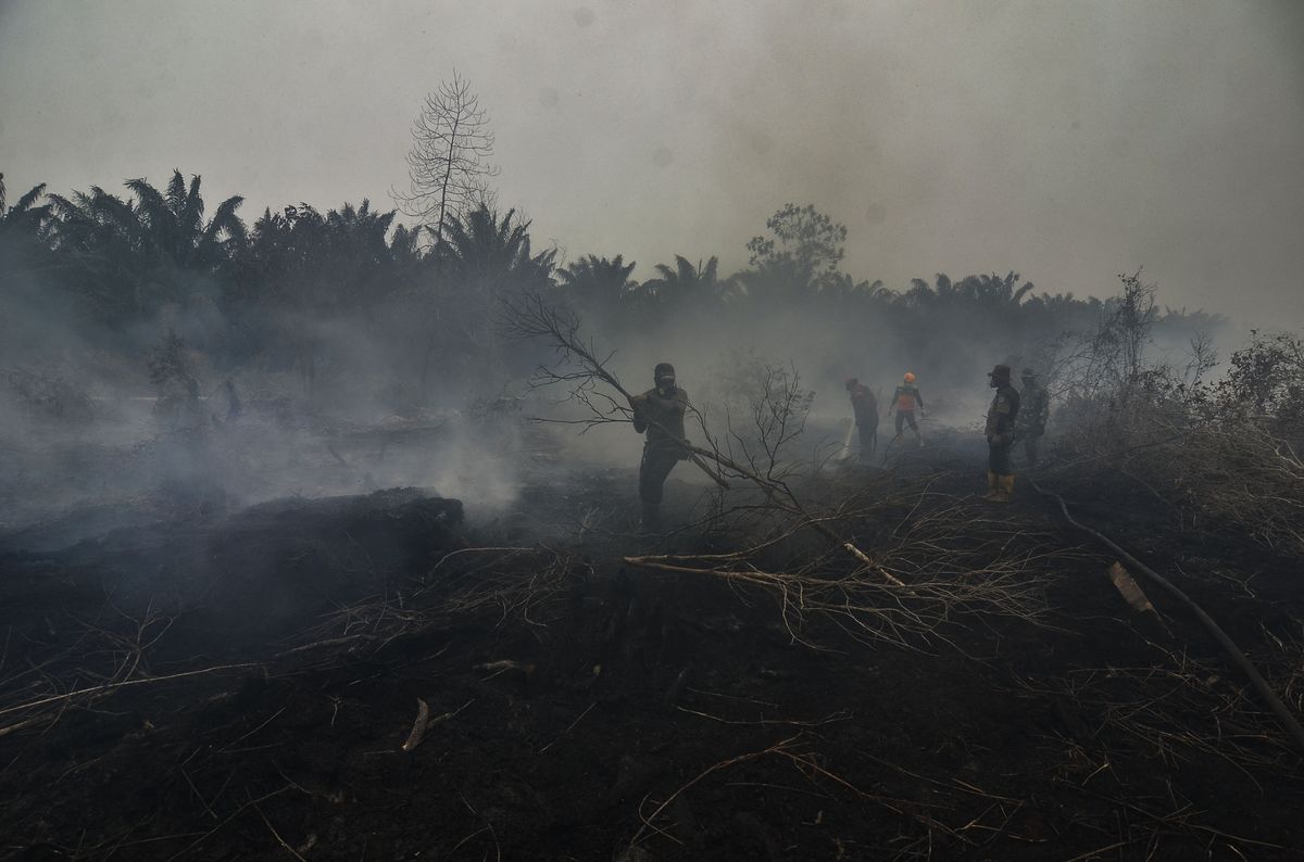 Jokowi Threatens to Fire Police if Haze Engulfs Indonesia Again