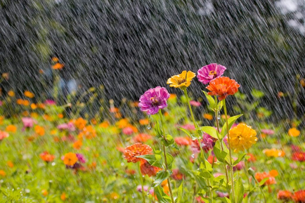 A New Bottled Water Option Might Change The Way We Look At Clouds And Rain