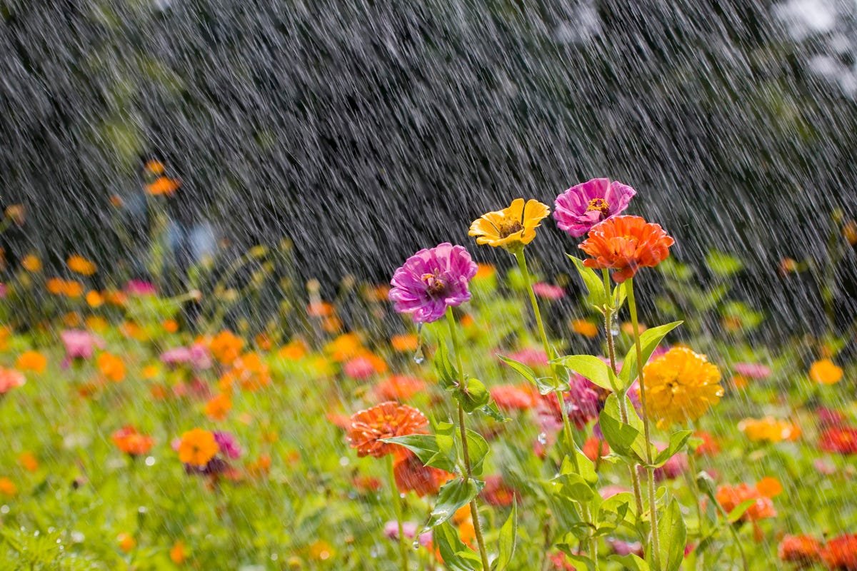 A New Bottled Water Option Might Change The Way We Look At Clouds And Rain