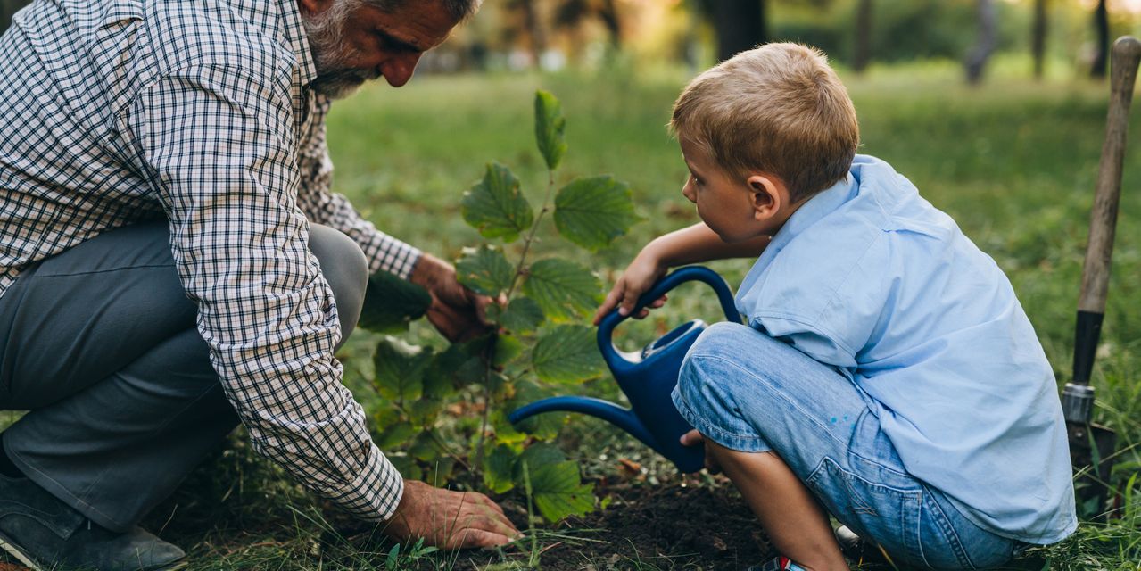 Next Avenue: Put your hobbies to good use to create a ‘greener’ retirement