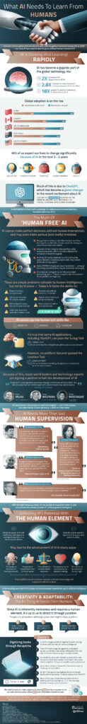 A Human’s Role in AI Development