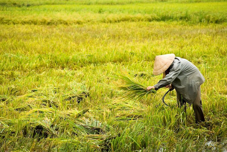 El Niño could cause significant economic disruptions, market volatility – Charles Schwab