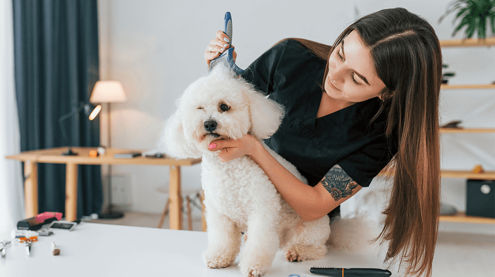 45 Amazing Home Based Business Ideas to Consider in 2023
