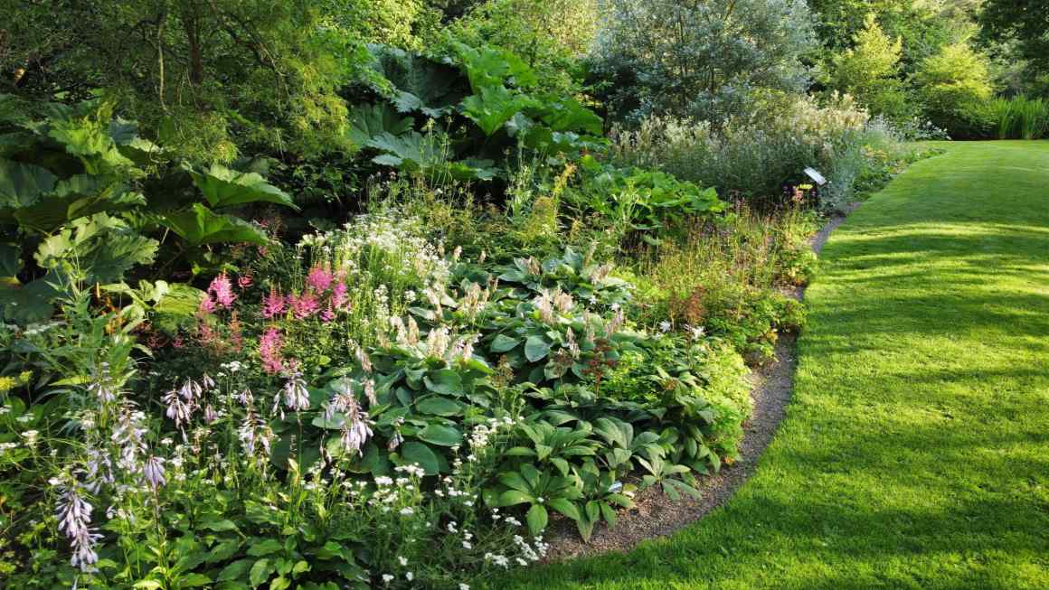Rain gardens offer a first green line of flood defence