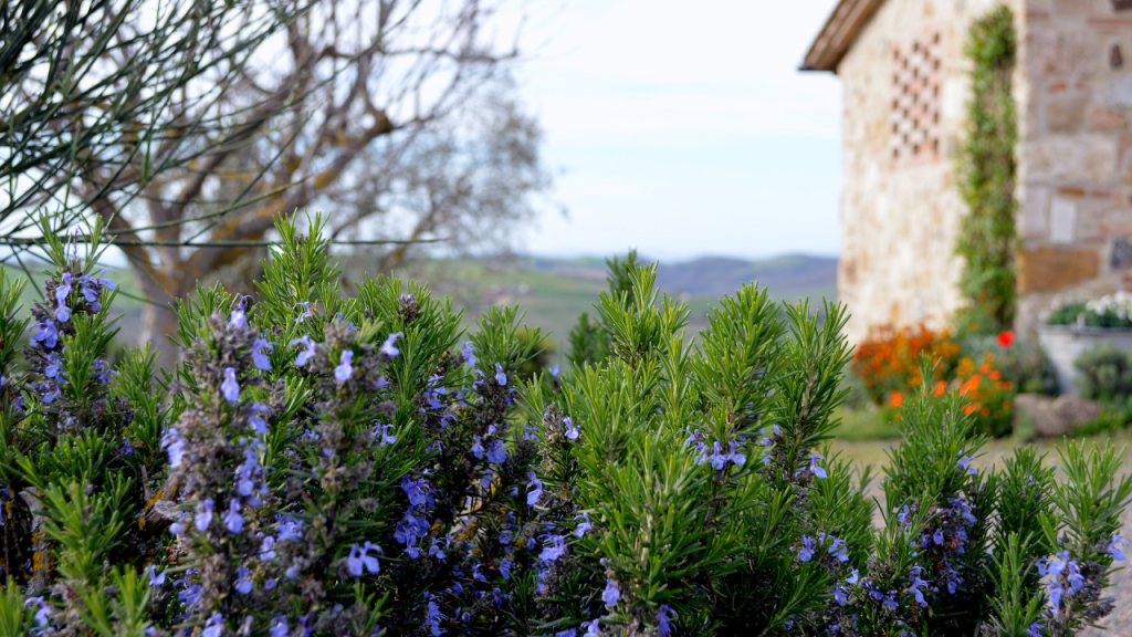 What is Agritourism?