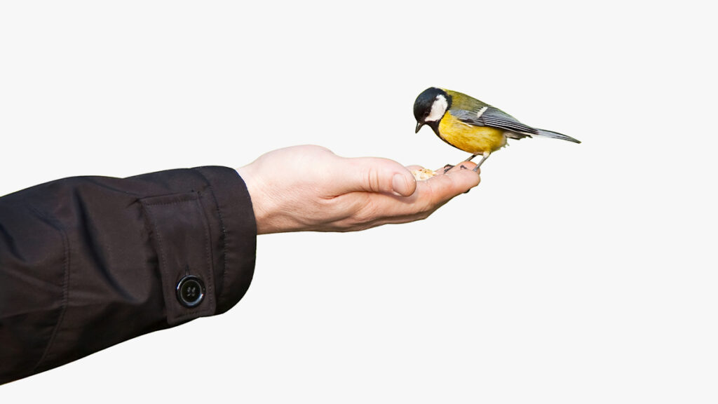10 Pitfalls That Destroy Organizational Trust