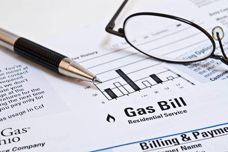 Natural Gas price rise drops to flat despite disrupted supply from the Middle East