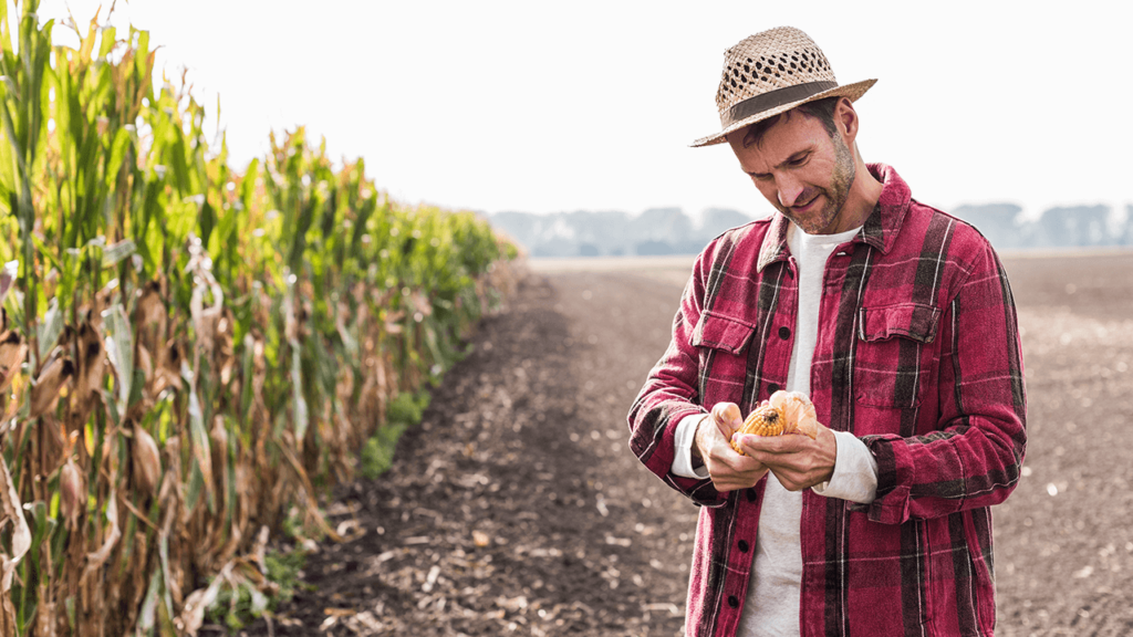 Agricultural Businesses Can Apply for Grants of Up to $100,000