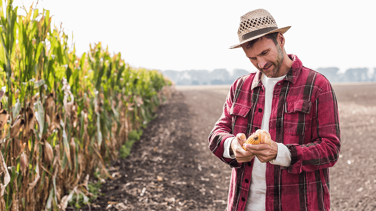 Agricultural Businesses Can Apply for Grants of Up to $100,000