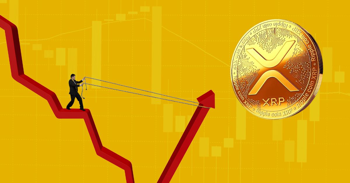 Ripple News : Exploring the Link Between Bitcoin’s Performance and XRP’s Market Value