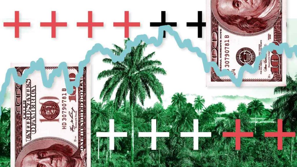 The looming land grab in Africa for carbon credits