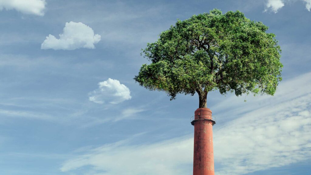 What Every Leader Needs to Know About Carbon Credits