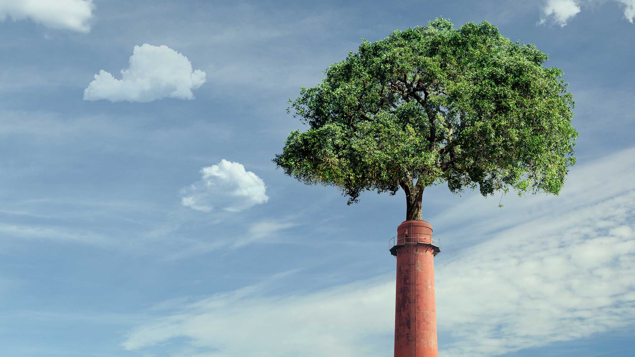 What Every Leader Needs to Know About Carbon Credits